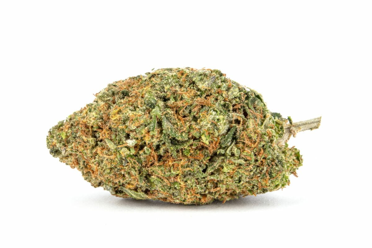 Dank-schrader-strain