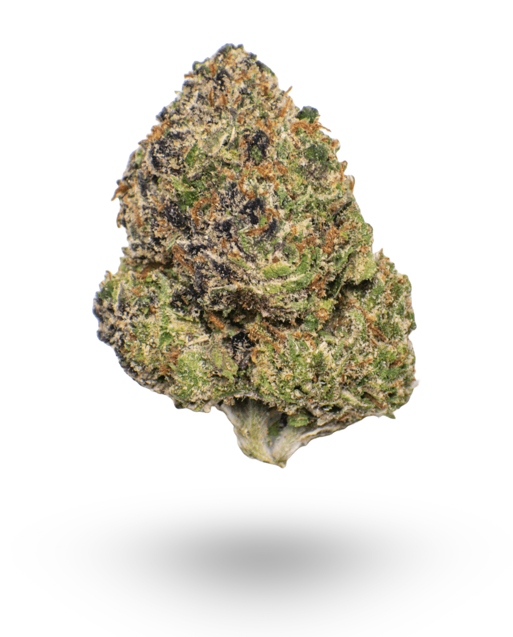 ⛽ AAAA MK Ultra