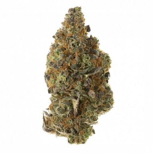 Purple Kush