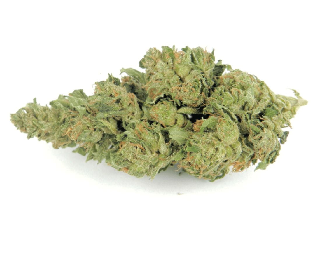 order master kush weed