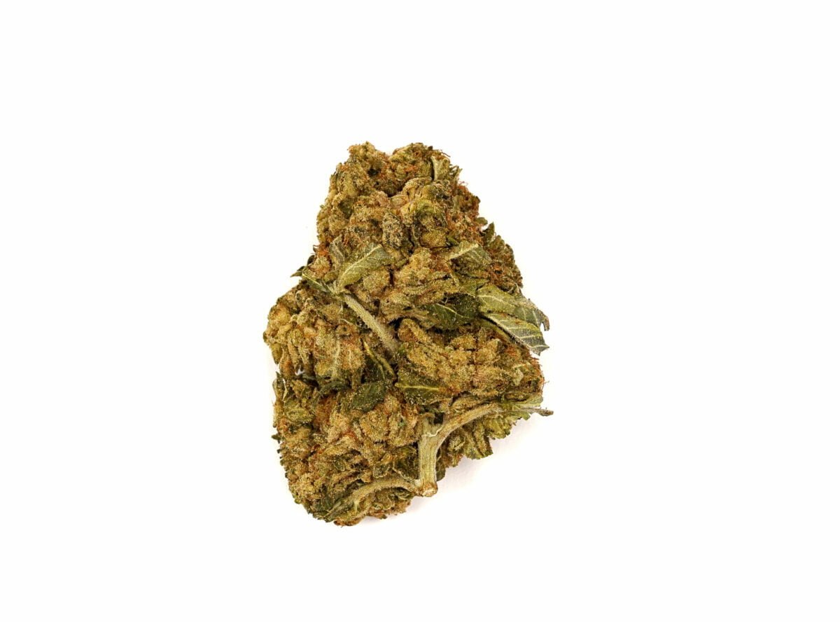 Trainwreck strain healingempire.ca