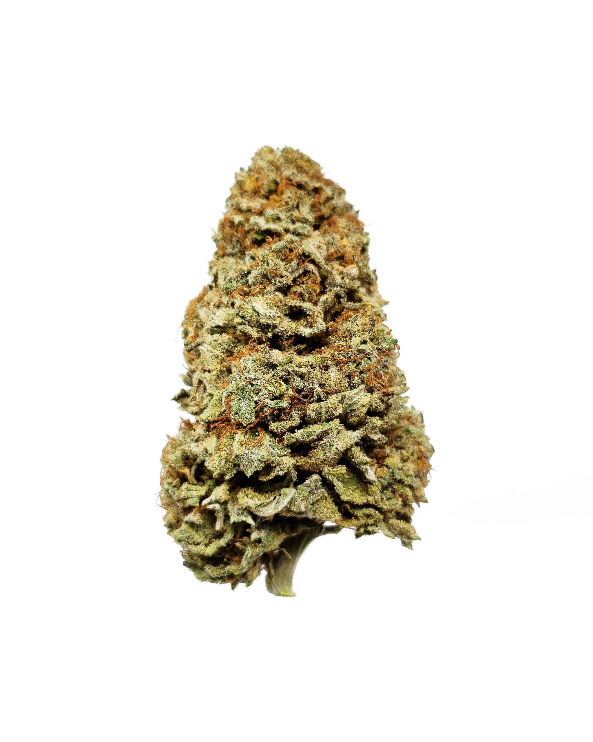 Kosher Kush
