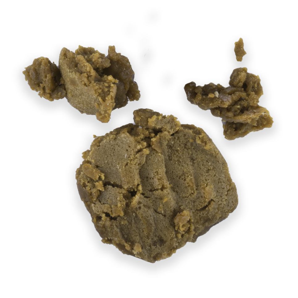 BLUEBERRY – BUDDER