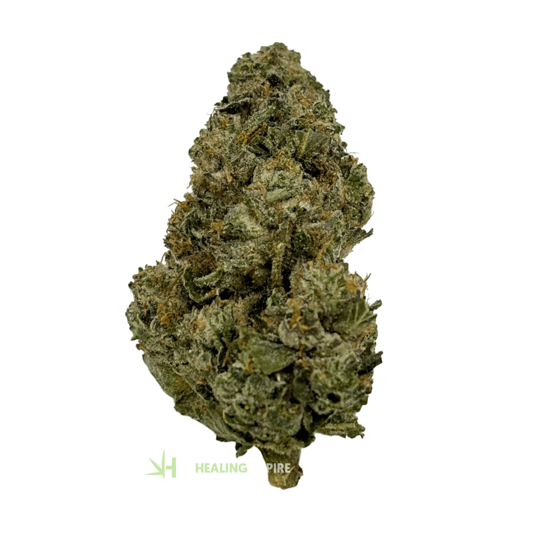 AAA+ Death Bubba