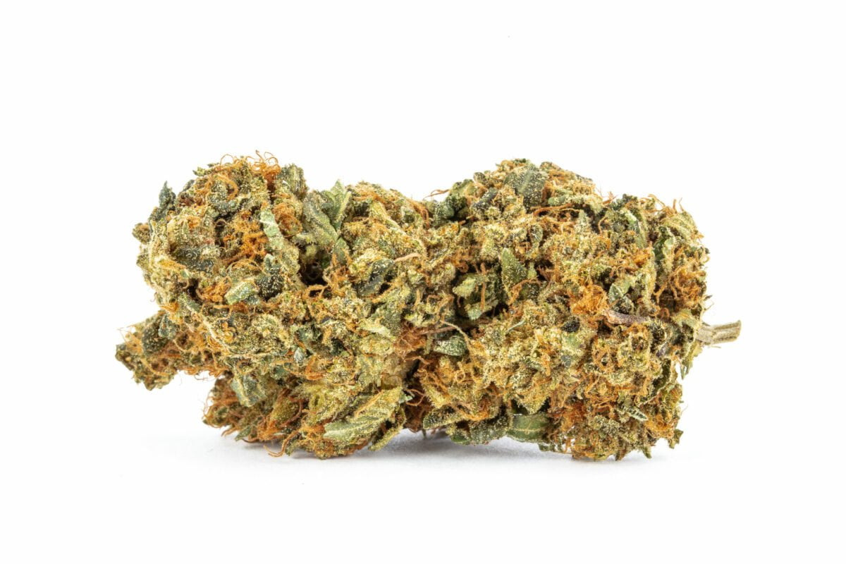 Black Gas Strain