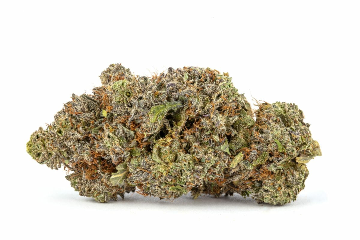 Blue God Strain