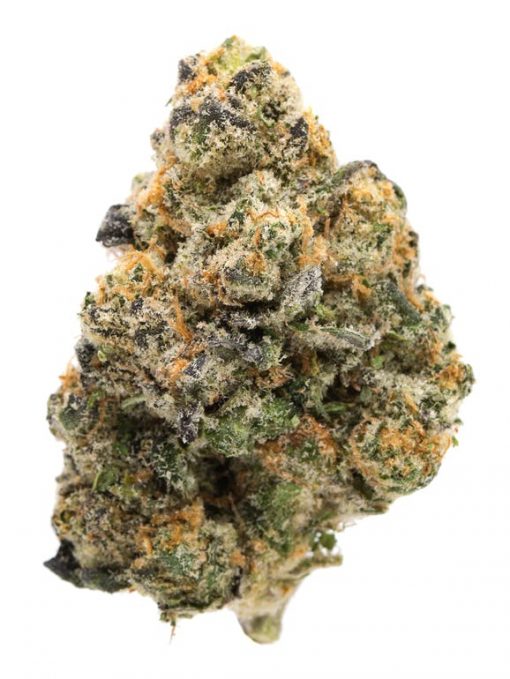 Girl Scout Cookies