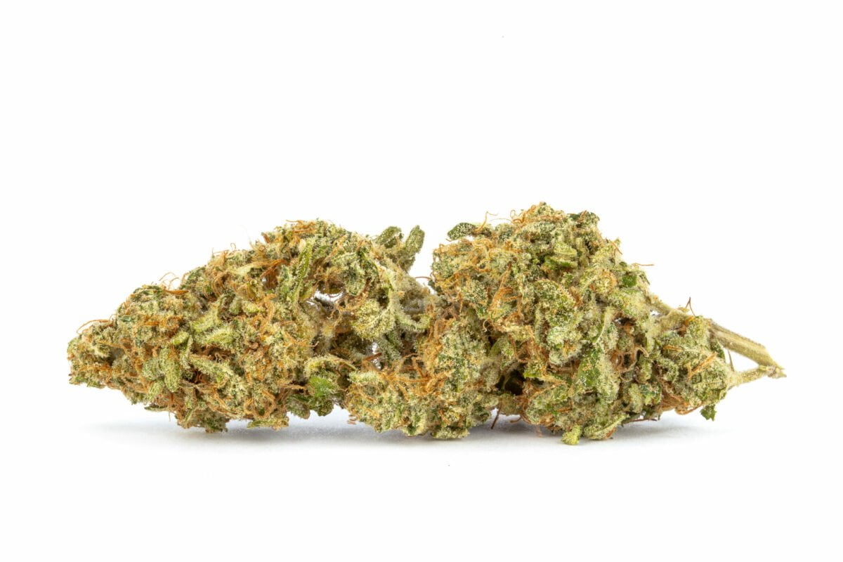 Durban Poison Strain