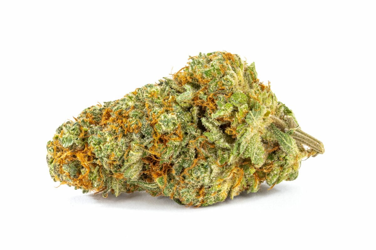 Orange Blossom Strain