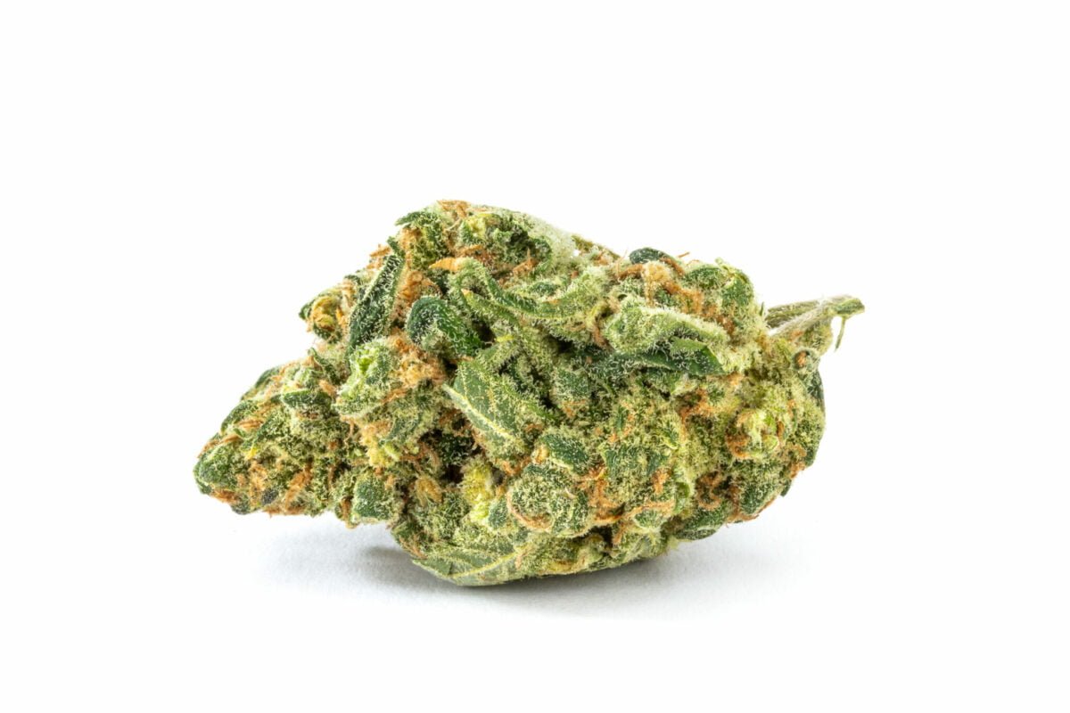 Watermelon Strain