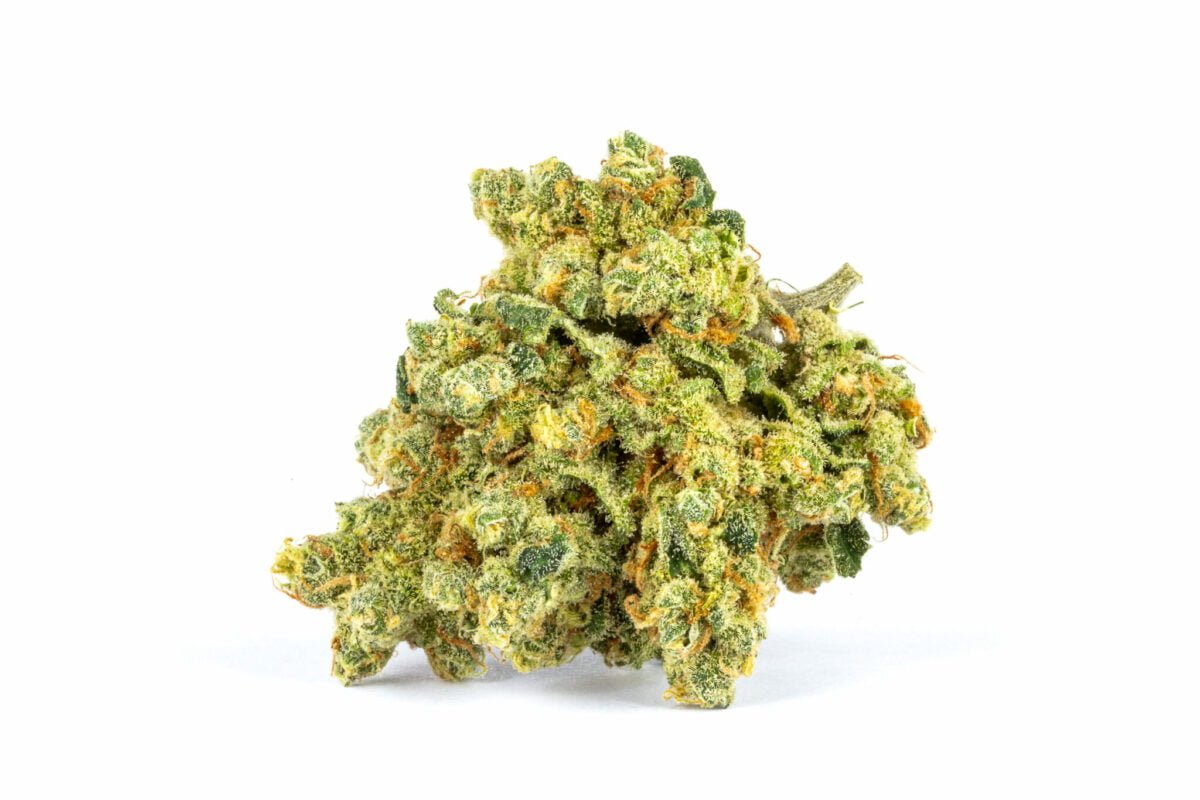 Organic Watermelon Strain