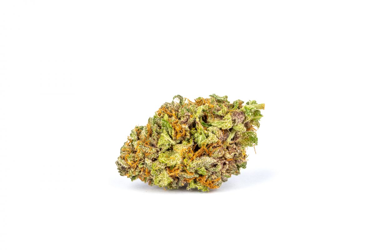 Hash Plant
