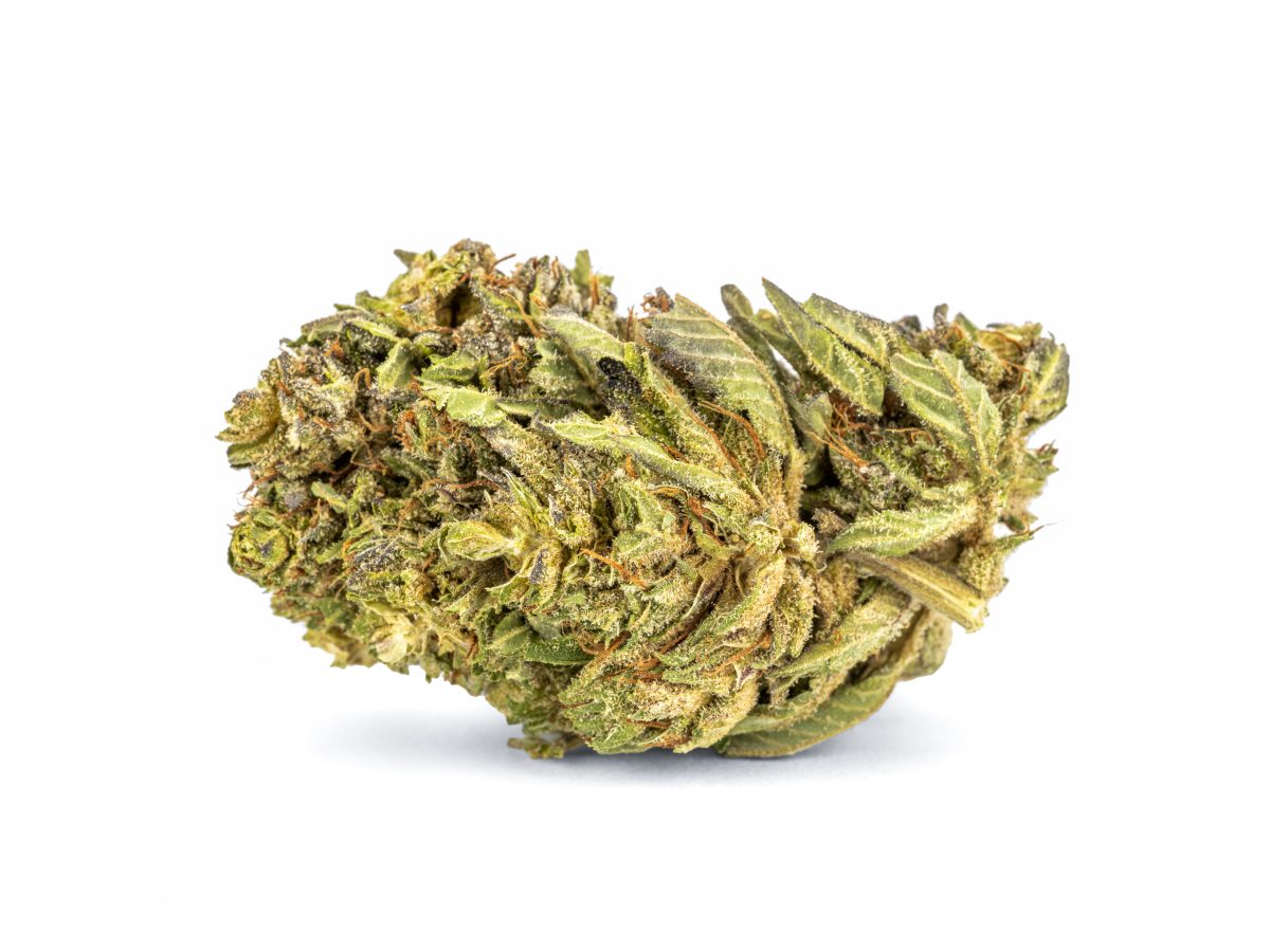 Pink kush Strain