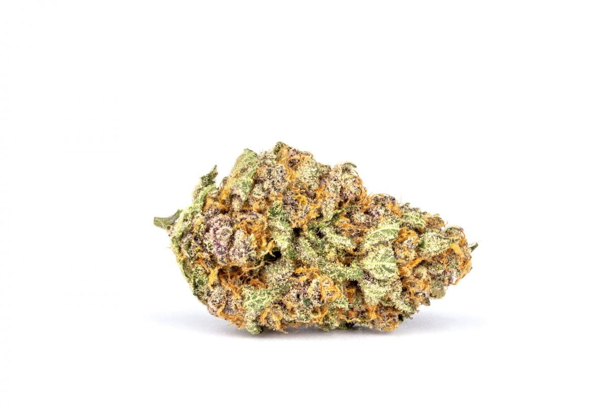 Ice Age strain
