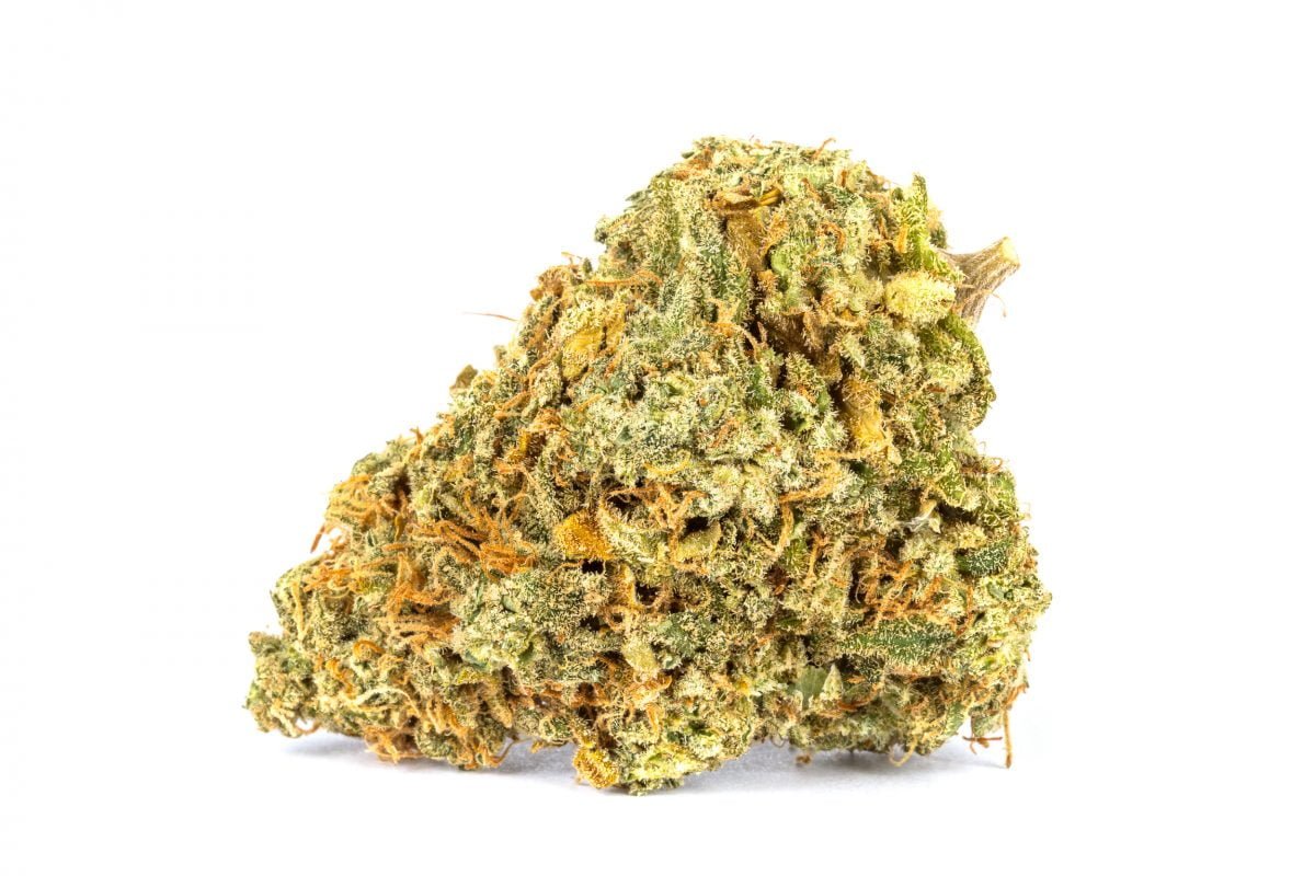 White Widow