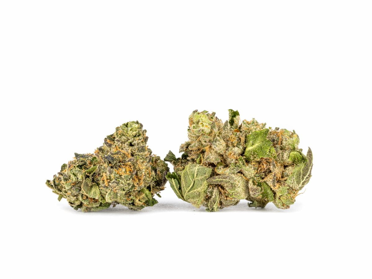 Ice Cream cake strain small