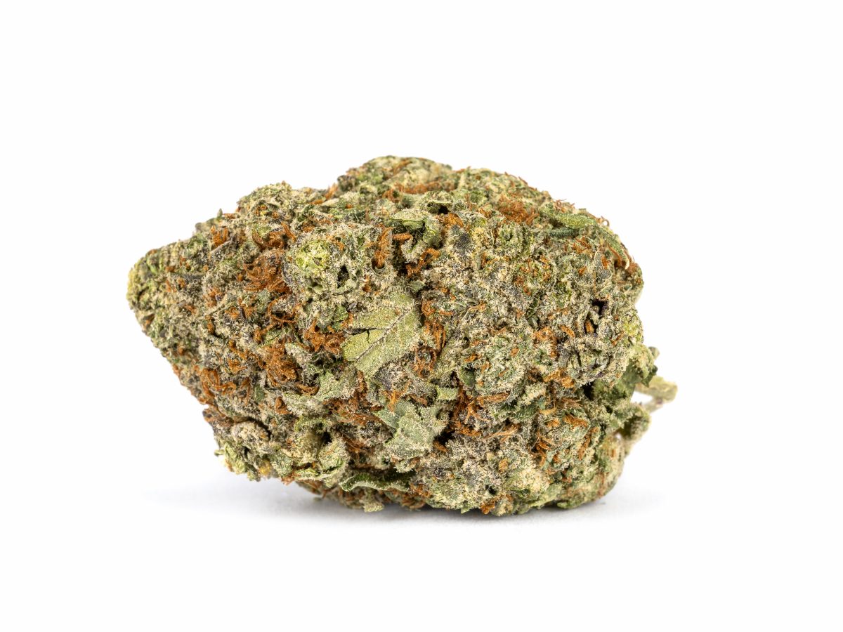 Kush berry strain