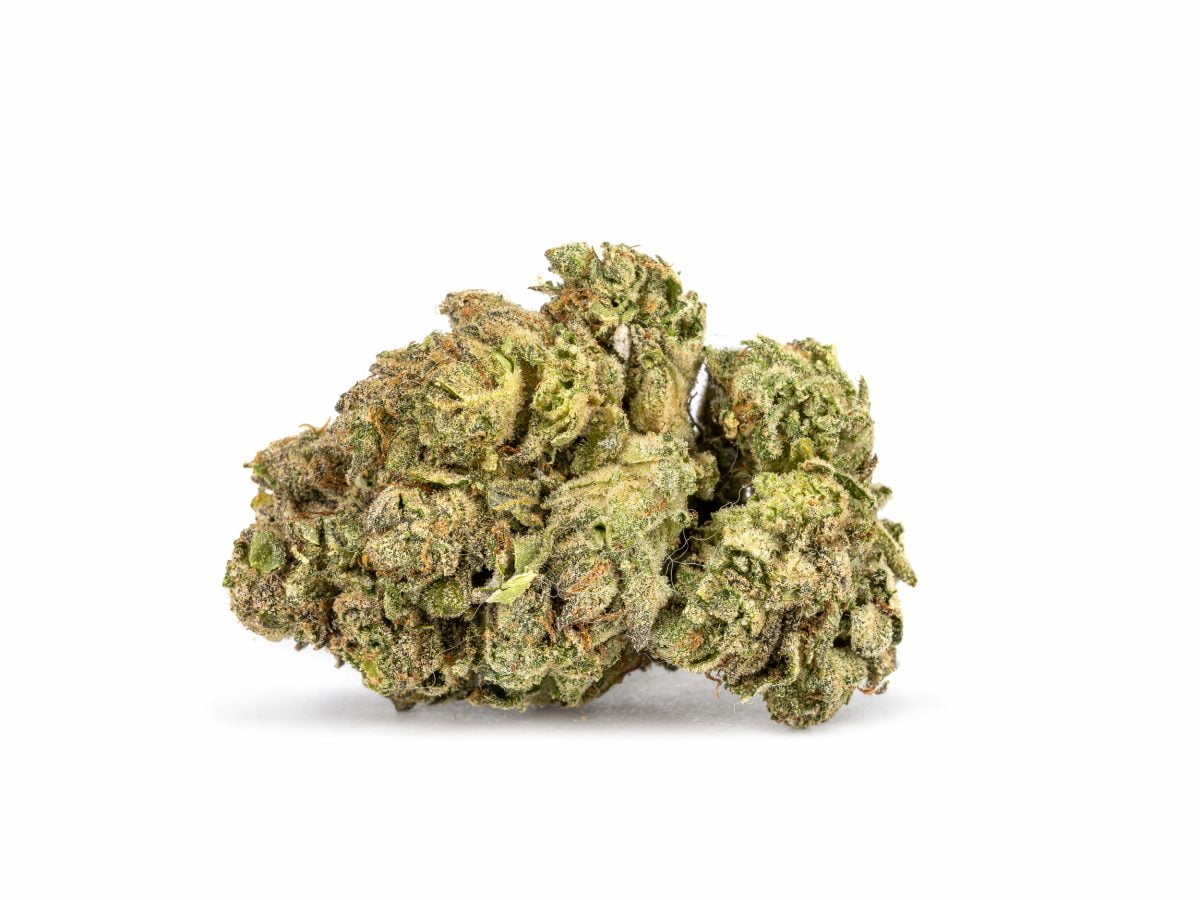 Gorilla Cookies