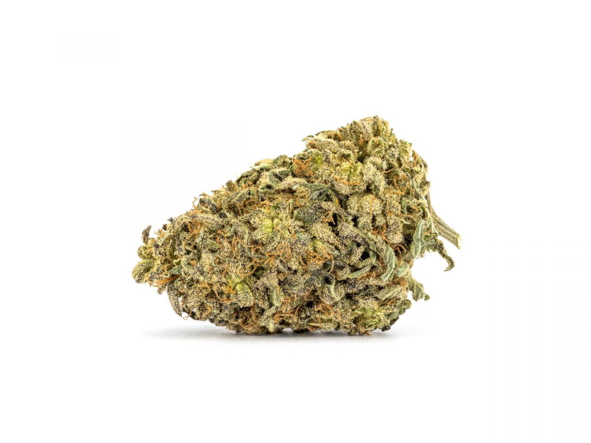 Zombie Kush