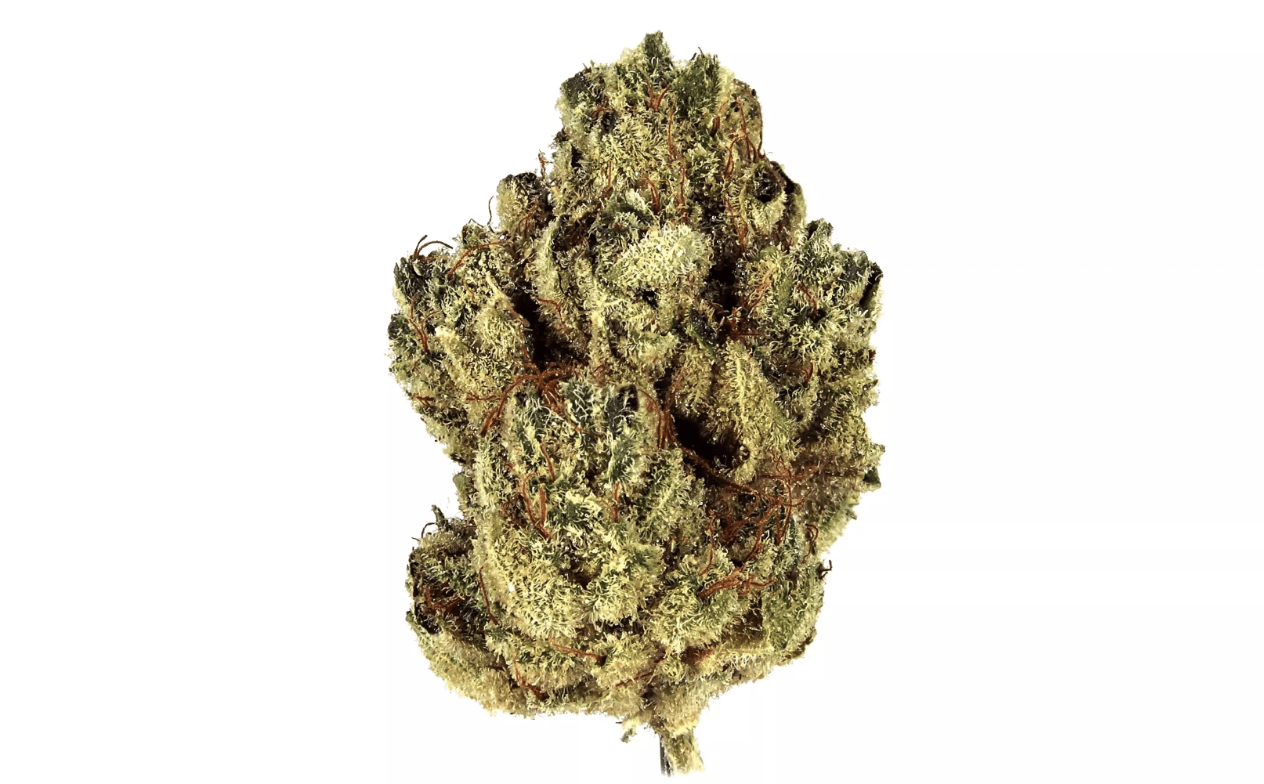 Alien Cookies Strain