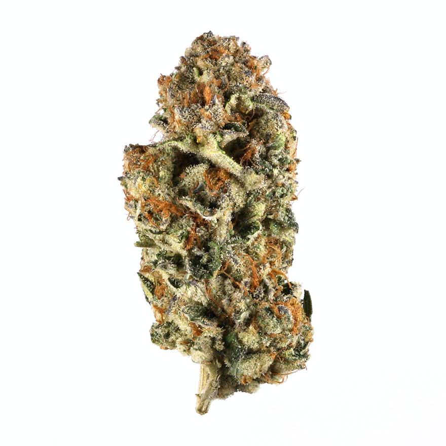Lip Slacker Strain