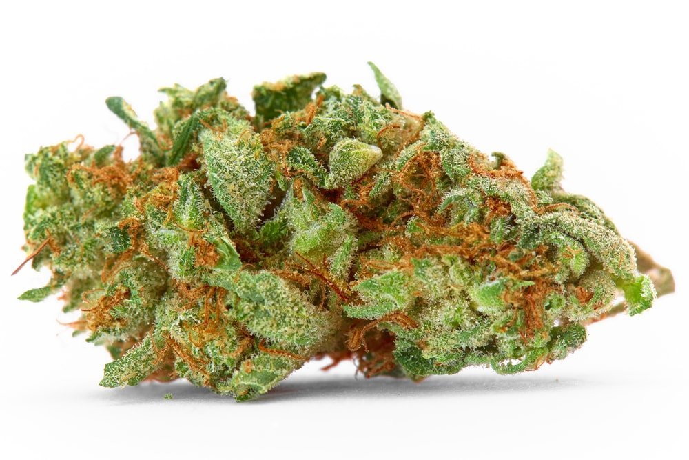 Cherry Bomb Strain