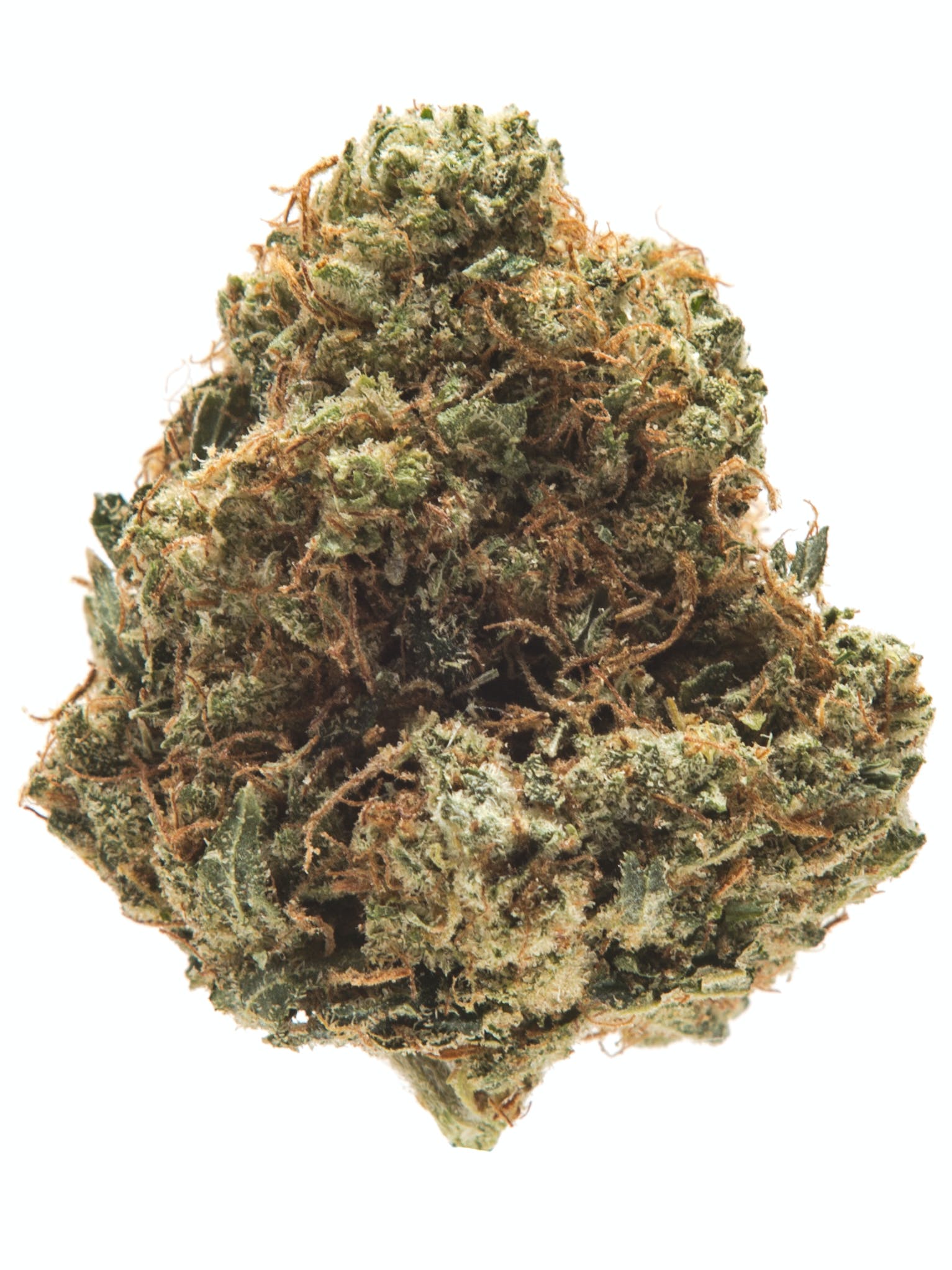 Jet Fuel
