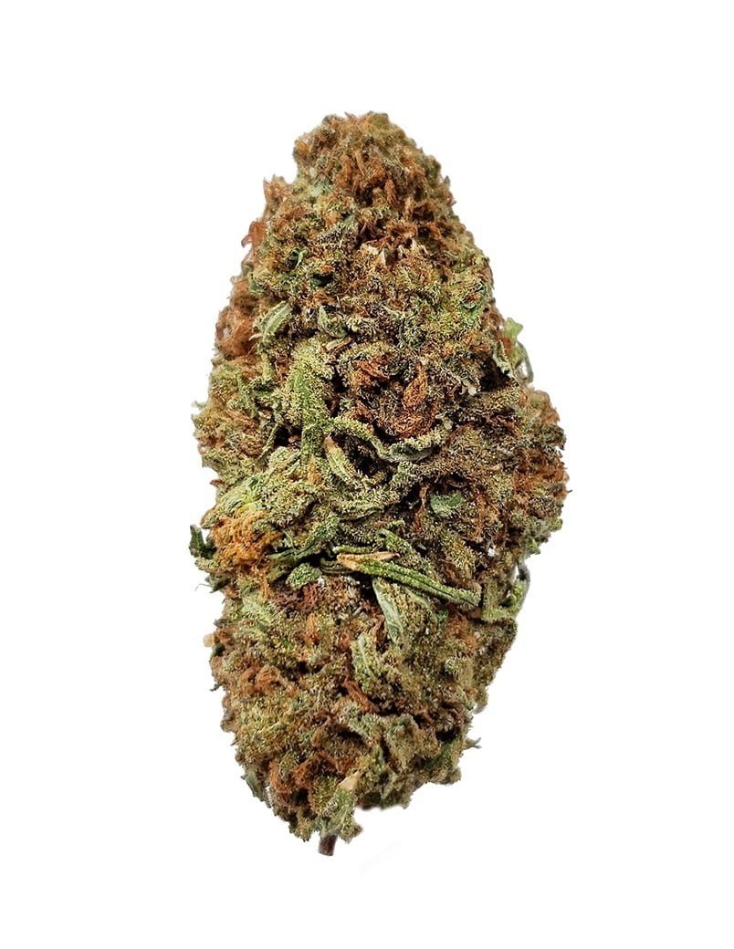 Jack Herer