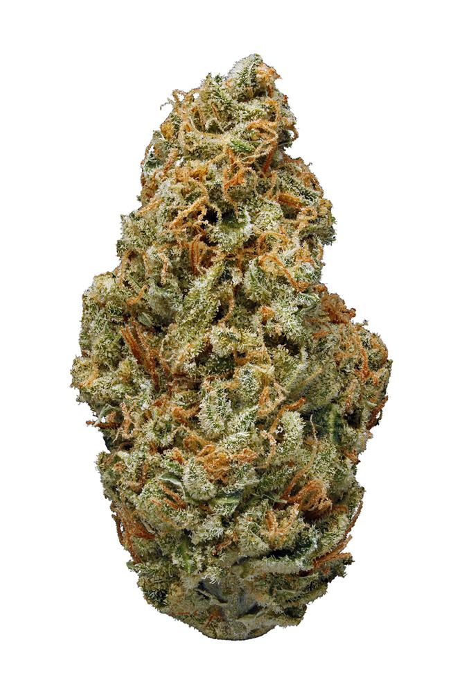 Silver Surfer Strain