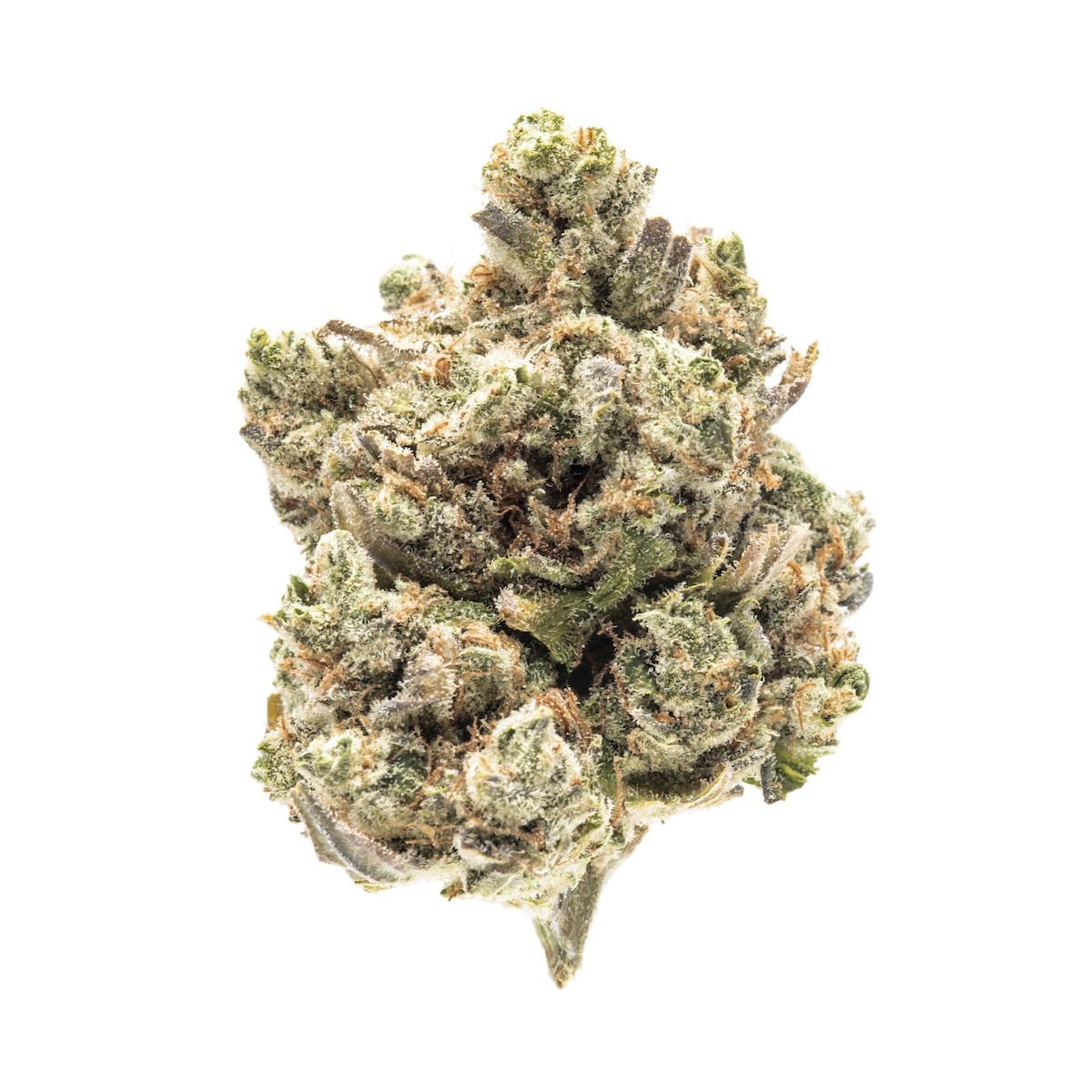 Tropicana Banana