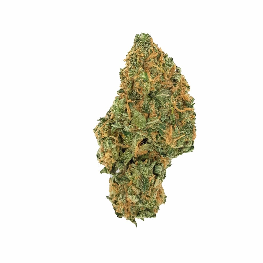 Acapulco Gold - BULK