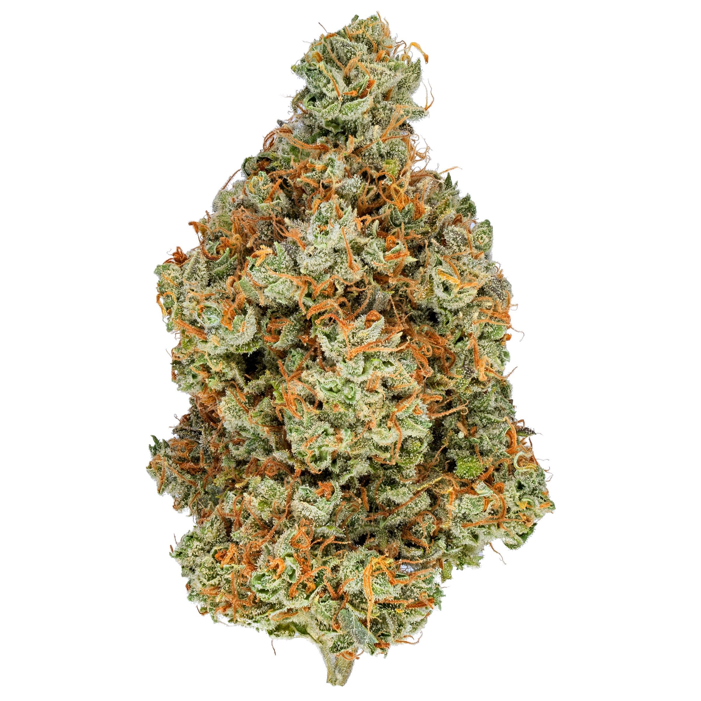 Black Indica - BULK