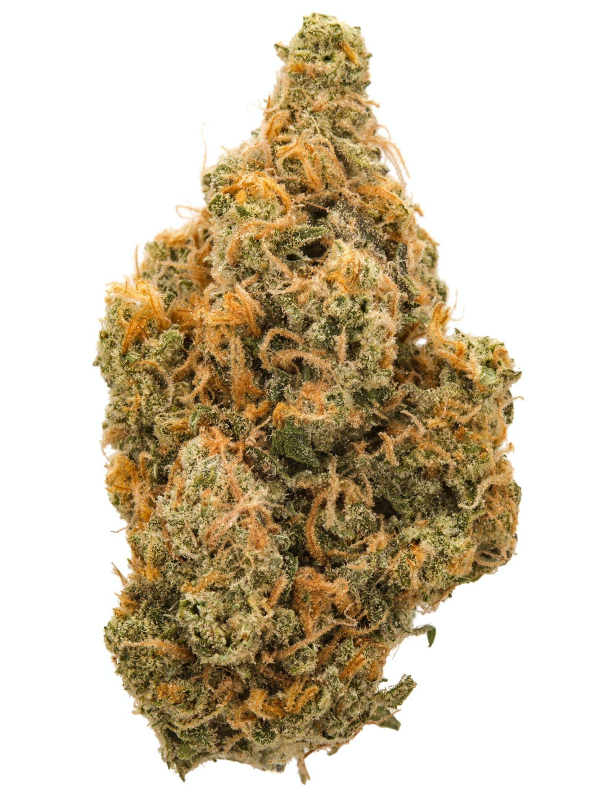 Northern Lights