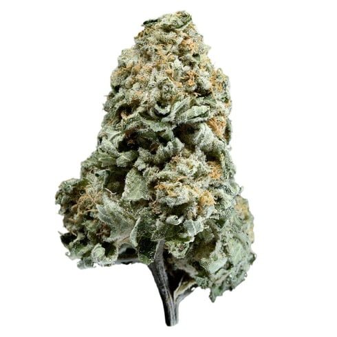 White Widow - BULK