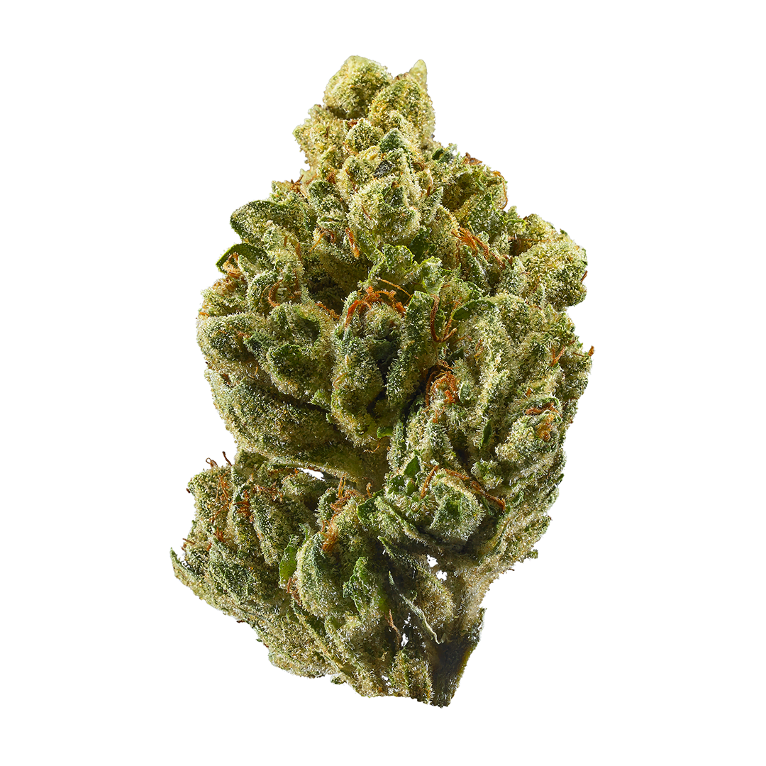 Master Kush