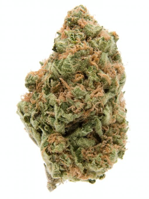 Red Eye OG