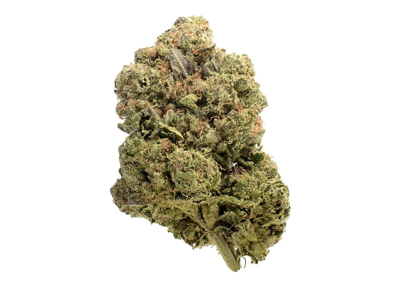 Cookie Jar