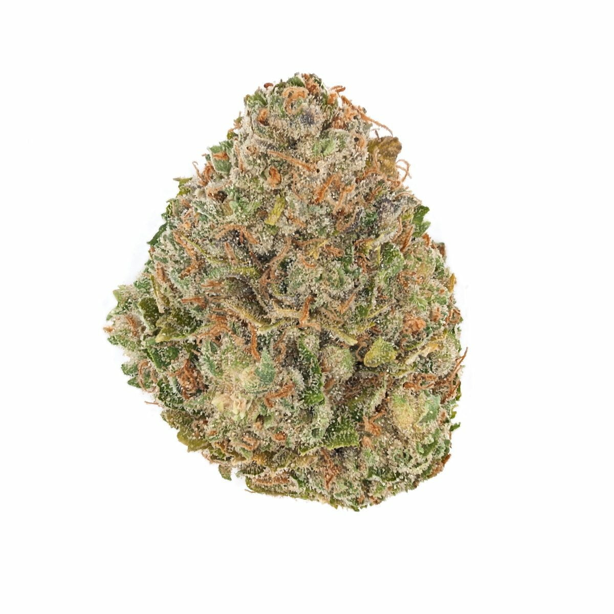 Rainbow Chip