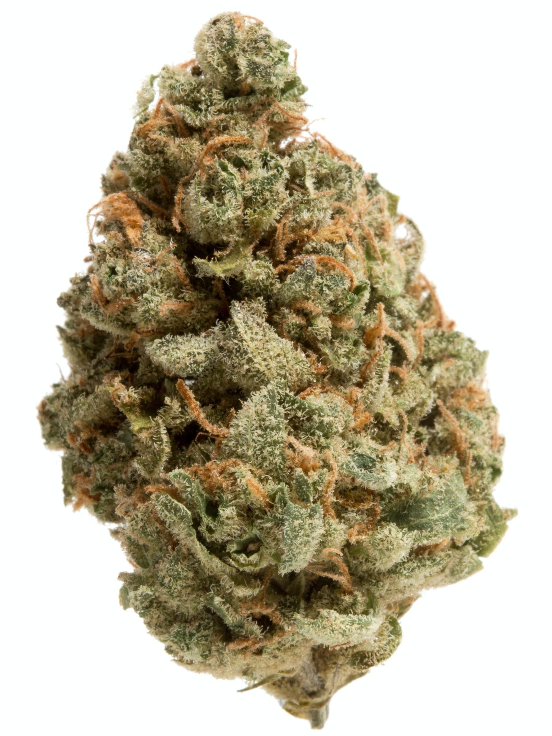 OG’s Pearl