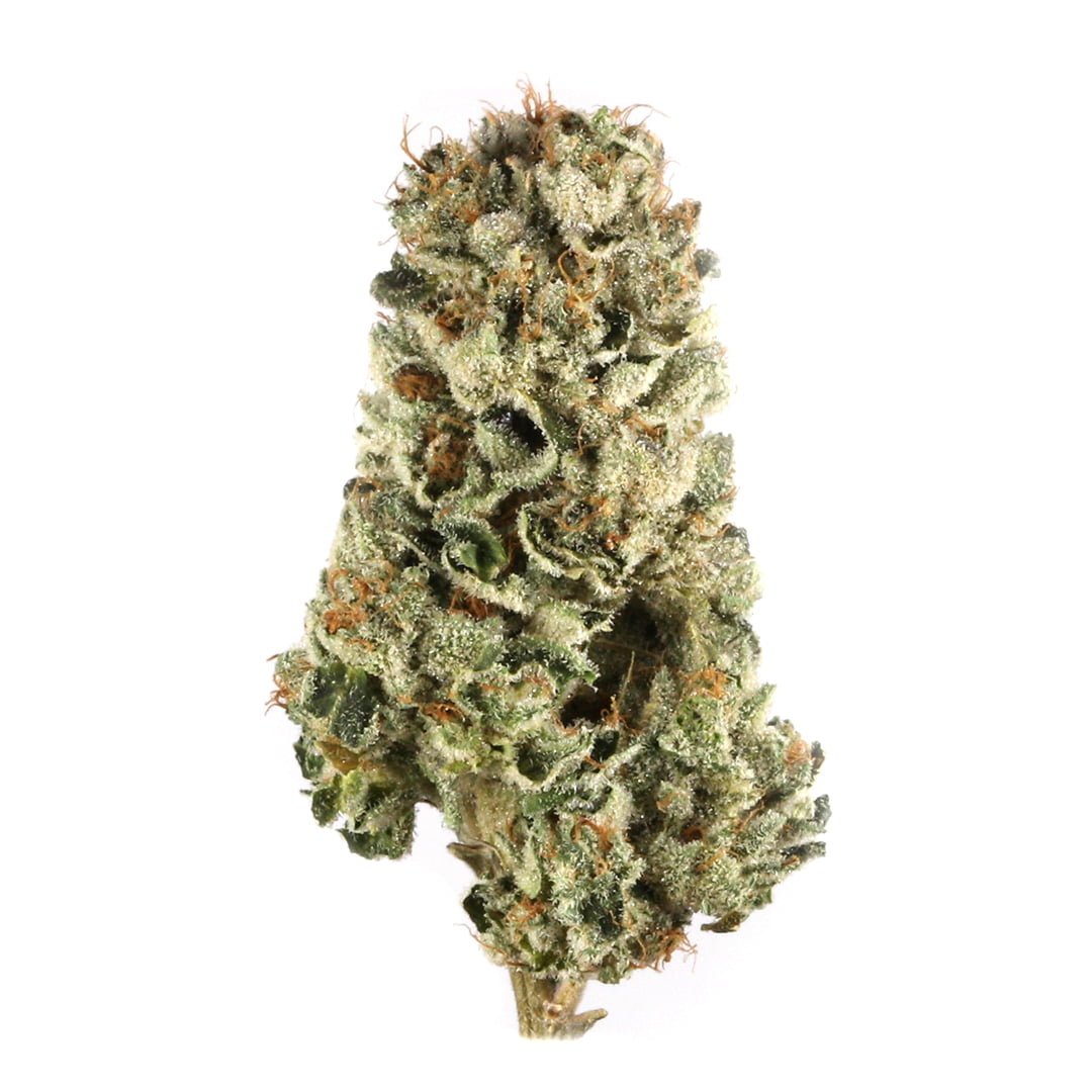 Pink Champagne