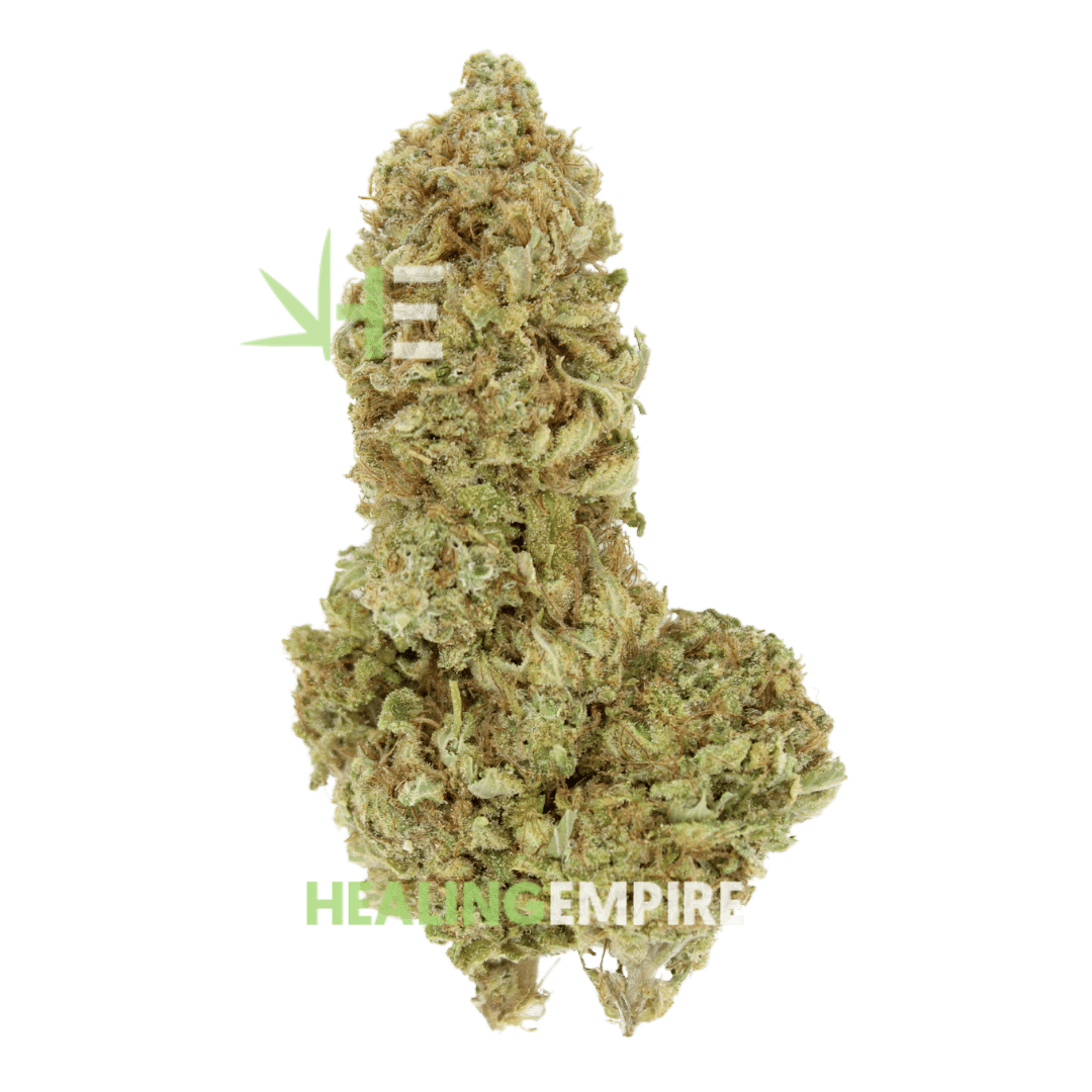 Chiquita Banana - Bulk