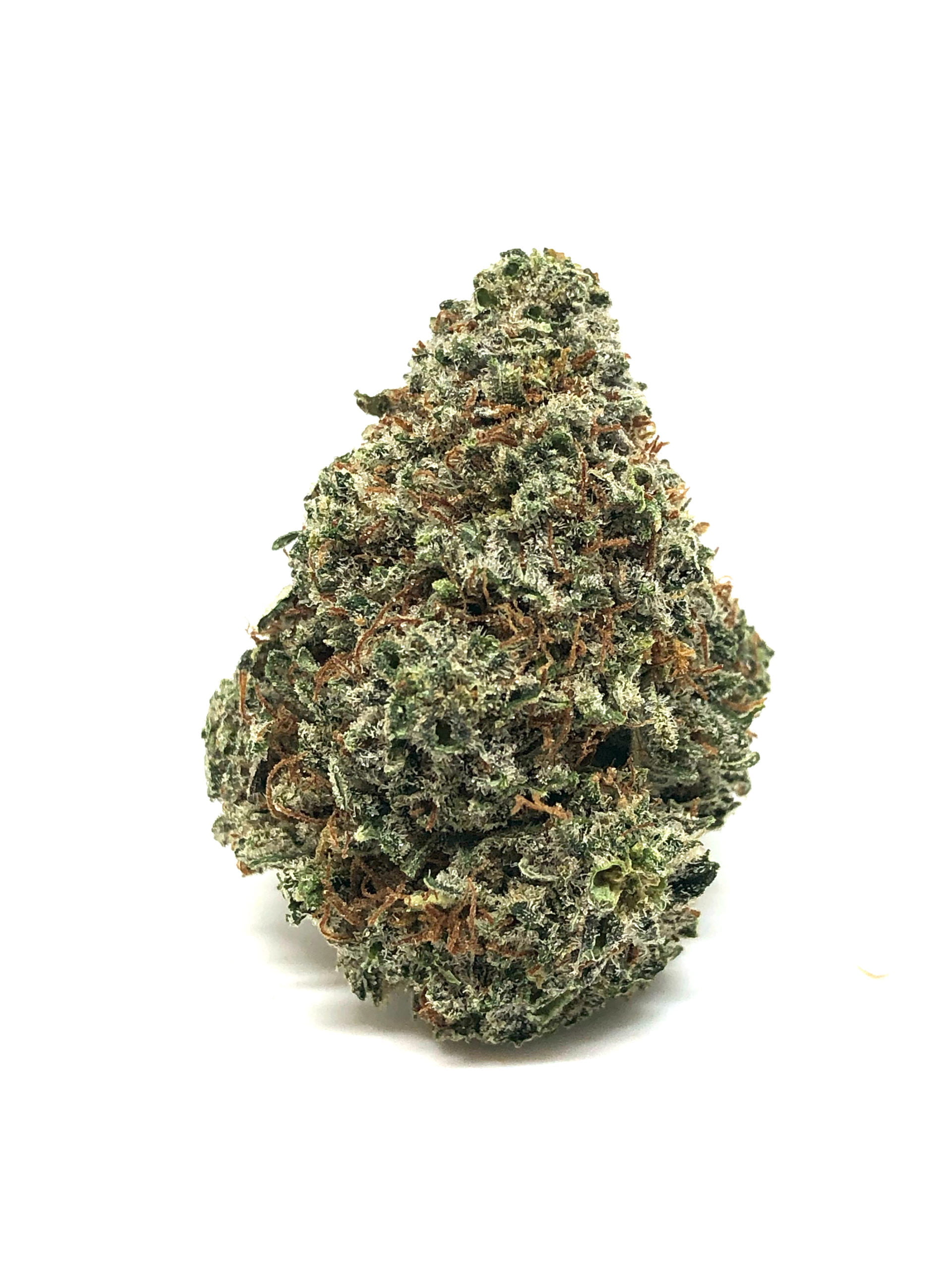 Rockbud