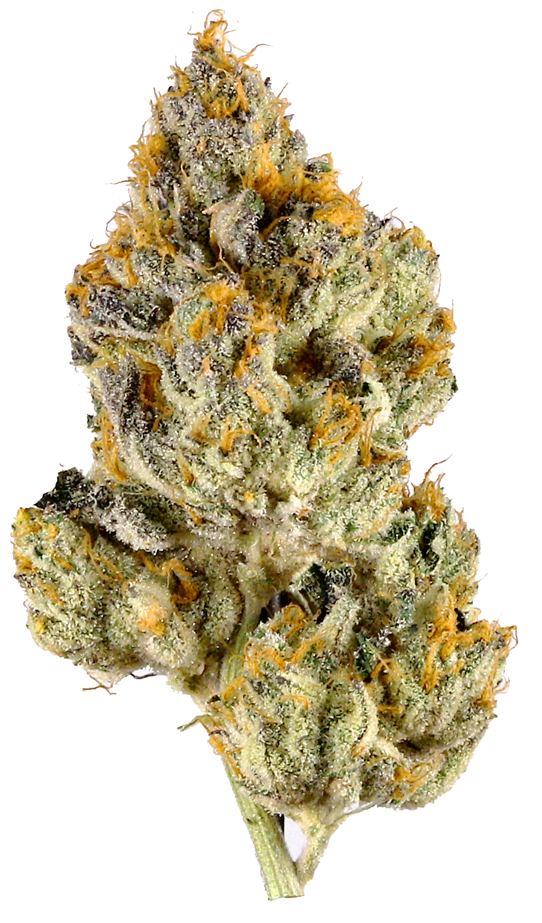 Pink Grapefruit Haze