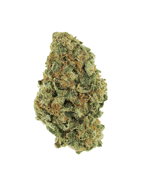 Romulan - BULK