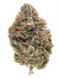 Chemdawg 91