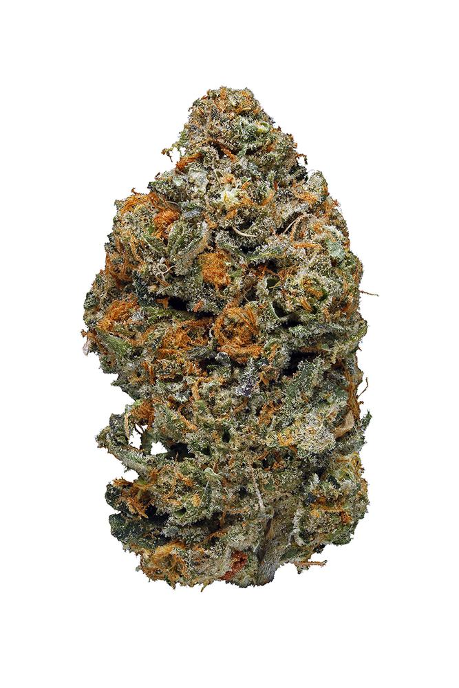 Animal Cookies