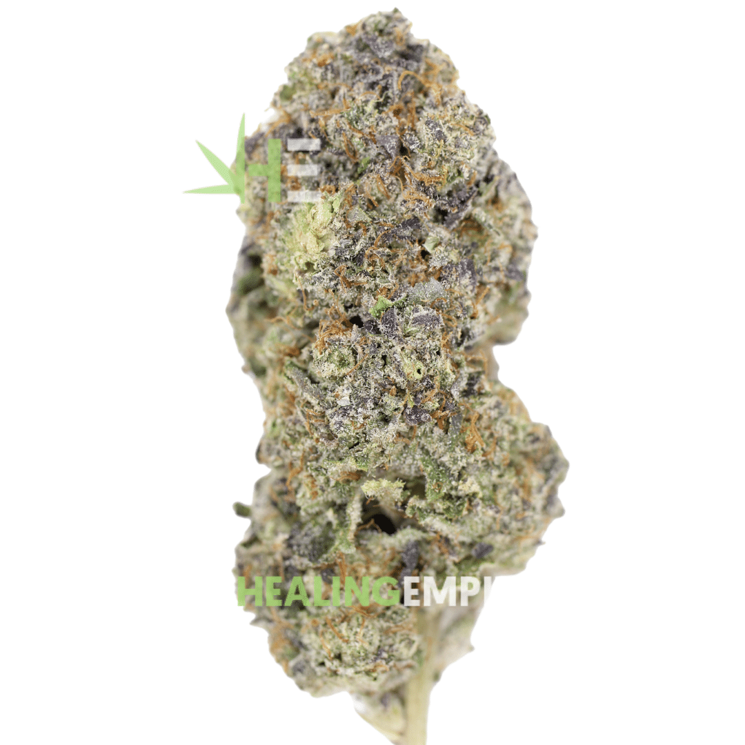 AAAA Do-Si-Dos x Gelato #41