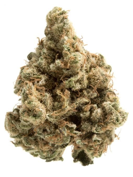 LSD - BULK