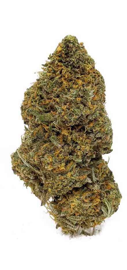 Sherbet Queen