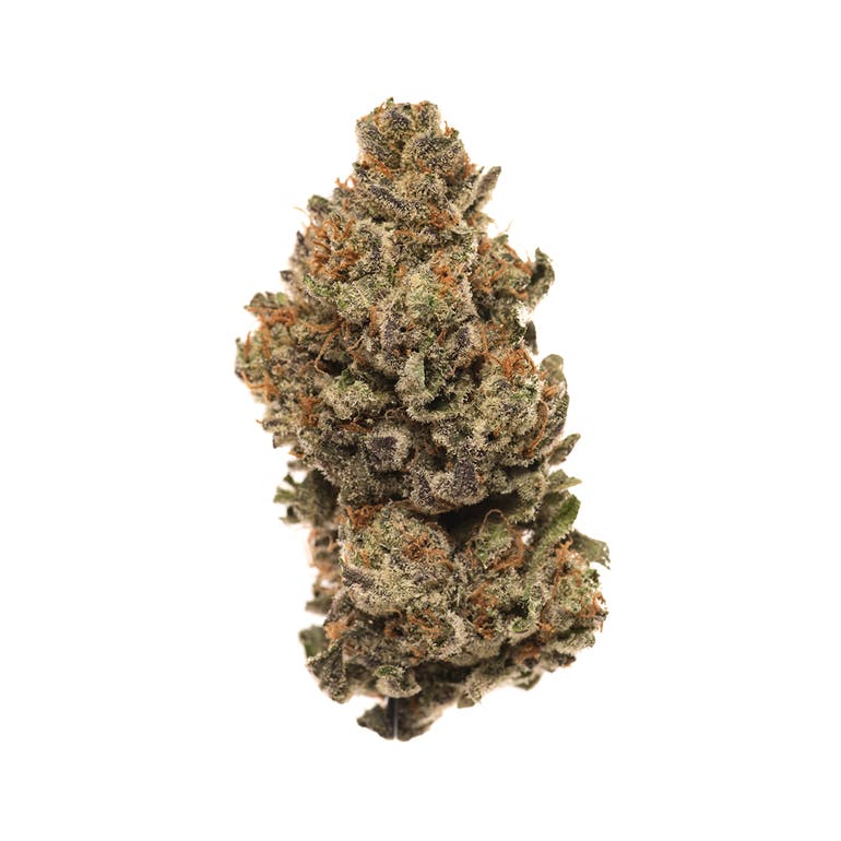 Grease Monkey